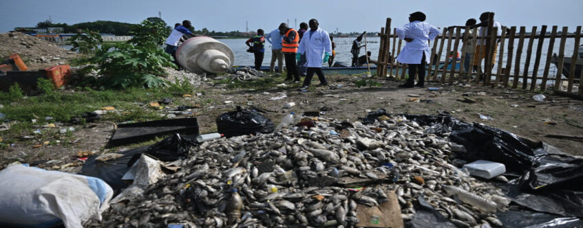 MORTALITE BRUSQUE DE POISSONS DANS LA BAIE DE BIETRY : LES MINISTRES ASSAHORE KONAN JACQUES ET SIDI TIEMOKO TOURE SE RENDENT SUR PLACE POUR EVALUER LA SITUATION